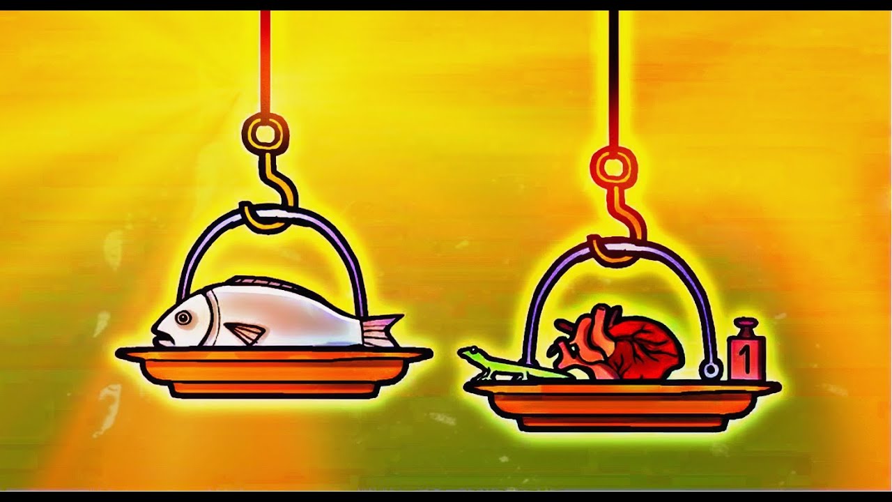 TESTING THE WEIGHTS Samsara Room Part 7 YouTube