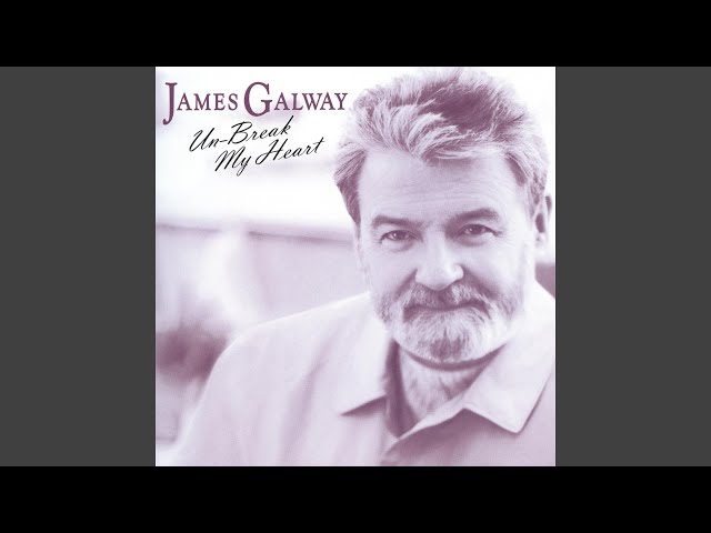 James Galway - Because You Loved Me