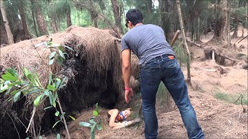 Forensics project 2015