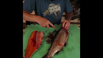 Fillet Trout NO Bones EASY 🐟🎣