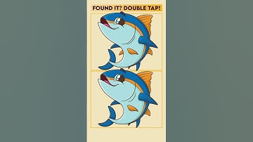 Find The 3 Differences - #161 #findthedifference #findthe3difference #spotthedifferences