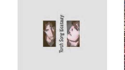 Torch Song - William Orbit and Laurie Mayer - Dia Del Muerto