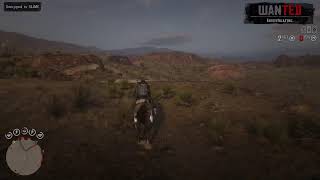 PS5 PRO - RED DEAD REDEMPTION II (ONLINE) - June 19, 2026