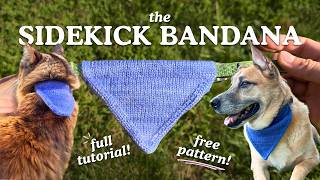 Knit this customizable pet bandana pattern with me 🥹🧶🐾✨
