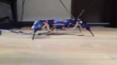 Quadruped robot----PCBWay
