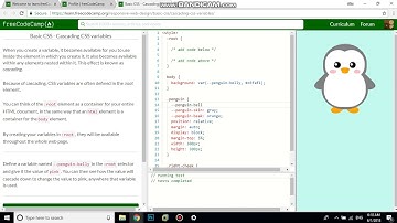 Basic CSS   Cascading CSS variables free code camp   Dani