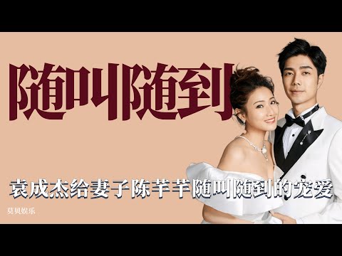 隨叫隨到：袁成傑對妻子隨叫隨到，由衷欣賞並且堅定維護她！ 情感，綜藝，愛情，夫妻，袁成傑