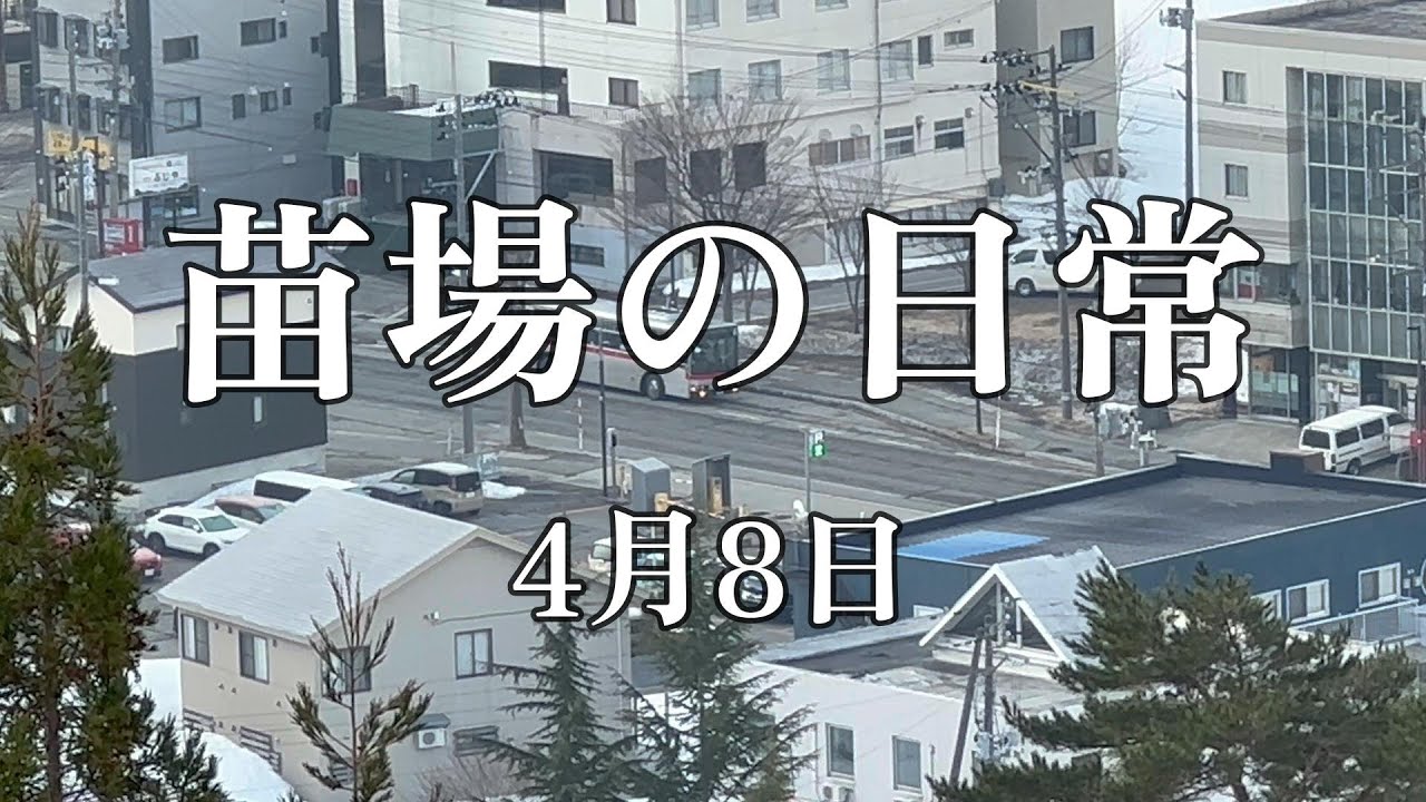 激安で購入したリゾートマンションに住み始めました（331）苗場の日常 
