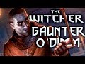 Gaunter O'Dimm's True Purpose  - Witcher Lore - Witcher Theories - Witcher Mythology