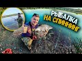 РЫБАЛКА НА СПИННИНГ! НА ЩУКУ! ЛОВИМ ЛЕЩА НА КОРМАКИ! НА ОГРОМНОЙ РЕЧКЕ! Виталий Зеленый! ВЛОГ!