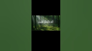محمد اللحيدان|ادْخُلُوا الْجَنَّةَ أَنْتُمْ وَأَزْوَاجُكُمْ تُحْبَرُونَ|سورة الزخرف اية (٧٠)#quran