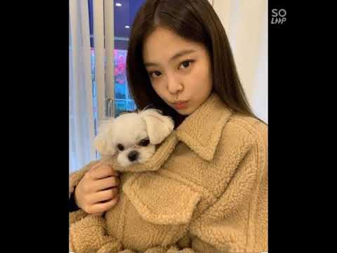 blackpink 😘|| pets||😘 - YouTube