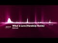 Djschulle  what is love handsup remix udiomusic