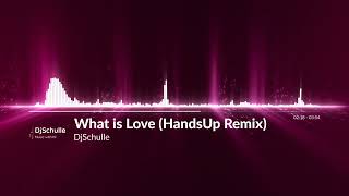 DjSchulle - What is Love (HandsUp Remix)