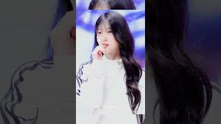 남자가수 한분과 노래를 만든 이서연보고싶다 #이서연 #프로미스나인
