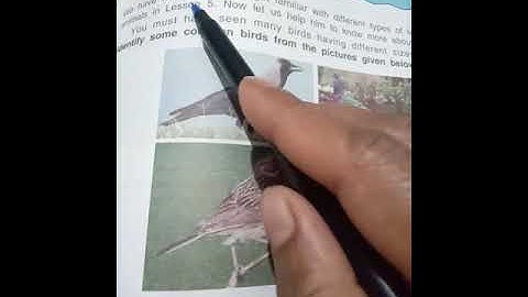 Ch.7 Birds and their nests part -1