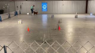 Katie & Moxie 1 - RNV2 - April 8, 2021