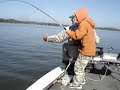 David fishing for crappie and catches a massive catfish