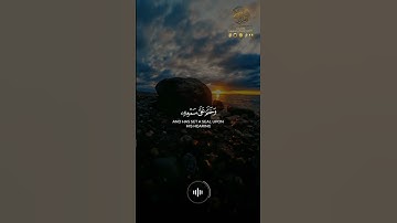 - تلاوة شجية للشيخ علي الحذيفي من سورة الجاثية ﴿ أَفَرَأَيْتَ مَنِ اتَّخَذَ إِلَٰهَهُ هَوَاهُ ﴾ 🌷