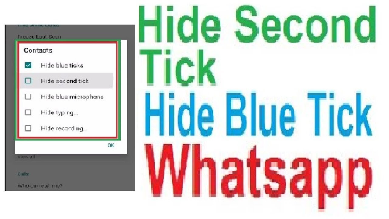 Hide Second Tick Hide Blue Tick Hide Typing On Whatsapp YouTube