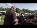 Schweizer Bauern in Russland - "Schweizer Milch"  | Швейцарцы в русской деревне
