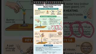 Thermal Decomposition Reaction Explained 🔥 | CBSE Class 10 Science | NCERT Shorts