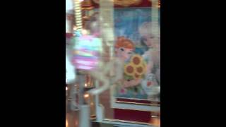 Wolf chase mall