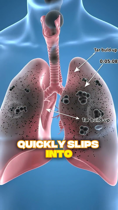 What Happens When You Smoke 🚬😱