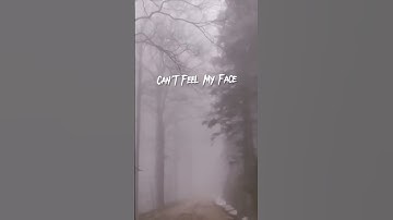 Dark Hours: Crescent Moon out on all plats #1nonly #music #bones #rap #suicideboys #xavierwulf