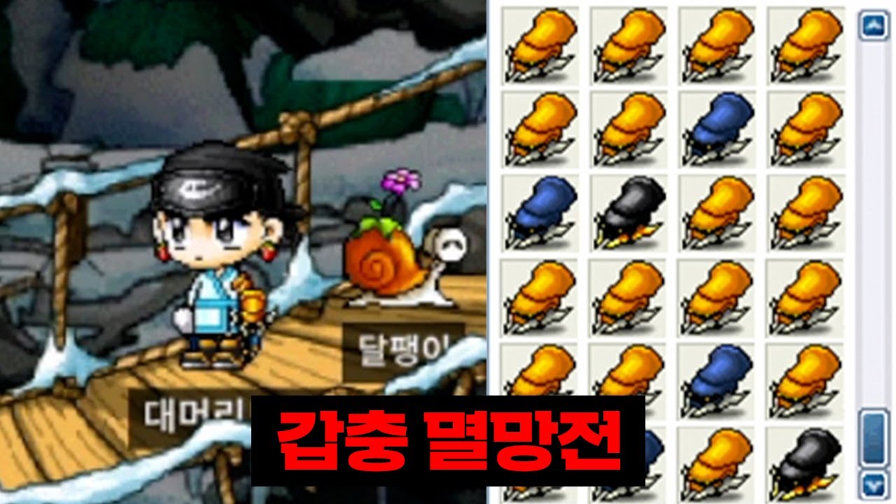 대머리급 스펙업 도전