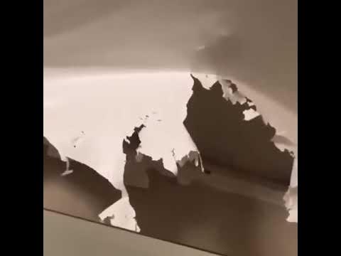 Кот залез в натяжной потолок 😂😂😂👍 - YouTube