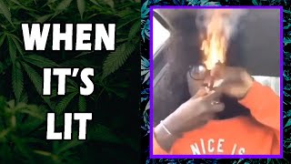 WEED MEMES & Fail Compilation [#25] - Fatally Stoned