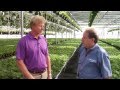 IPM Tips – Start a Successful Integrated Pest Management Program