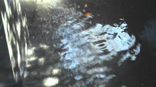 KRYPROTEK WATER TEST