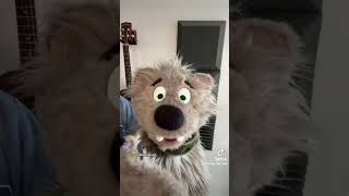 Should I make this a series? #puppet #furrymusic #furries