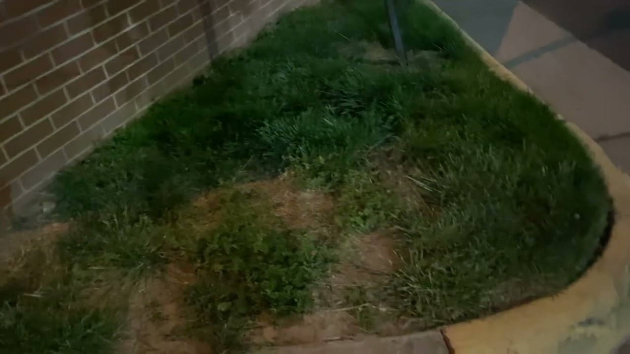 What Is Virginia’s Personal Property Tax (Car Tax)?