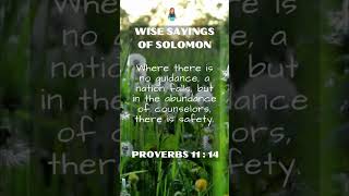 Wise Sayings of Solomon | Proverbs 11:14