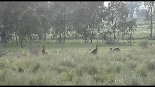 Darebin Creek part one - Wollert to Bundoora