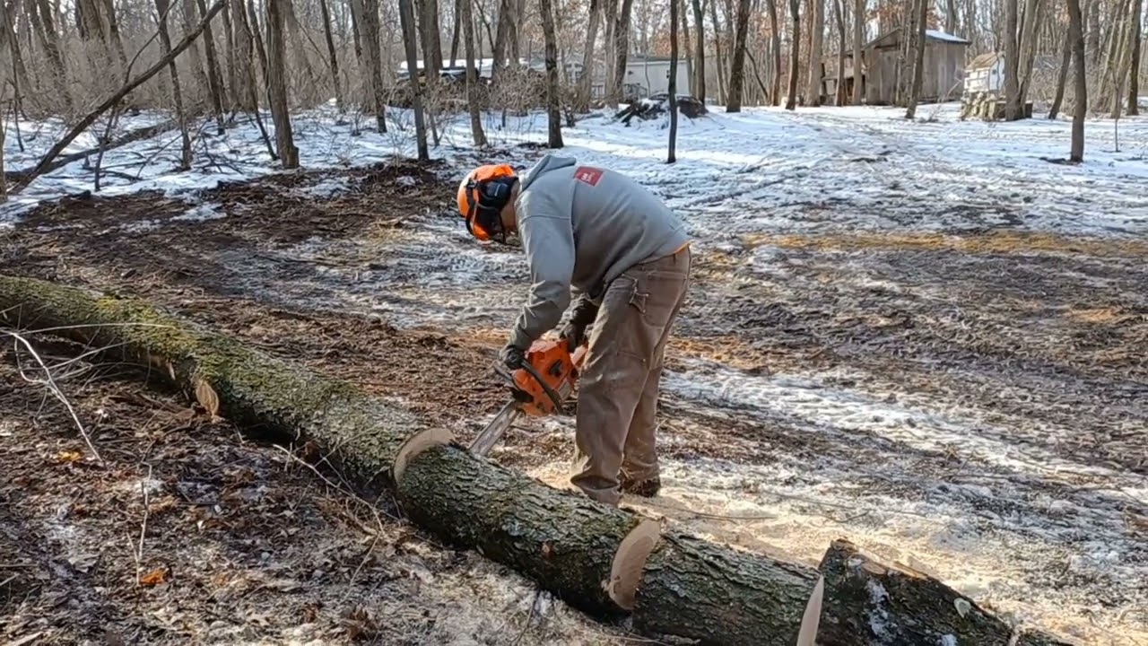 Husqvarna 242XP Bucking Cherry