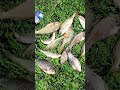 https://youtube.com/@yurasik1962?feature=shared           сегодняшняя вылазка на местный водоём☝