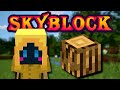 Solo Hypixel SkyBlock [5] The best early game strategy