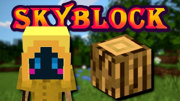 Solo Hypixel SkyBlock [5] The best early game strategy