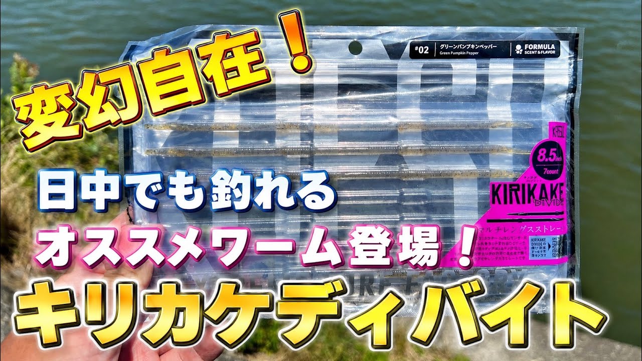 【バスフィッシング】変幻自在のストレートワーム！食わせと誘いの両立！？釣りたいなら絶対オススメ！リニューアルなのに新製品「キリカケディバイド」をご紹介！
