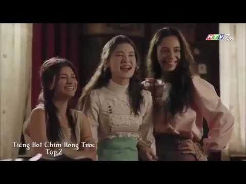 Video Tiếng hót chim Hồng Tước Tập 2 - youtube