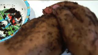 how to get soft baby skin || ለስላሳ ቆዳ ethiopian beauty screenshot 4