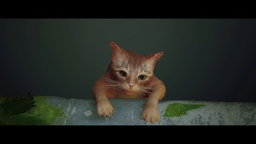 STRAY Gameplay Walkthrough Part 1 [4K 60FPS] - No Commentary