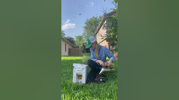 Bees Started Swarming All Around Me- Short Version