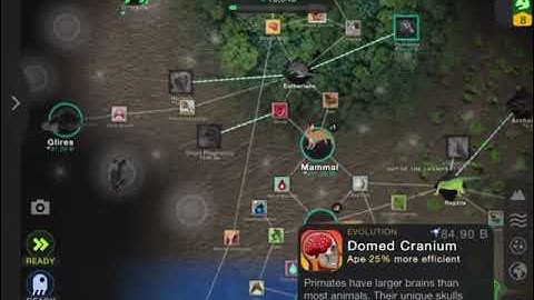 Cell to Singularity Speed Run | by Finn