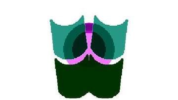 All Windows Animations From MS Paint in Diamond Major + CoNfUsIoN