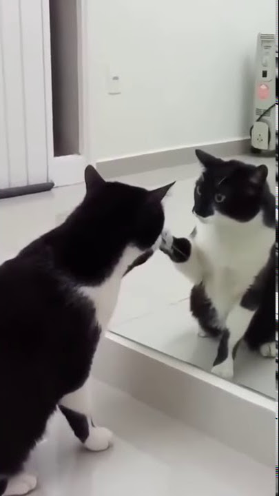 Wait For It      Imgur